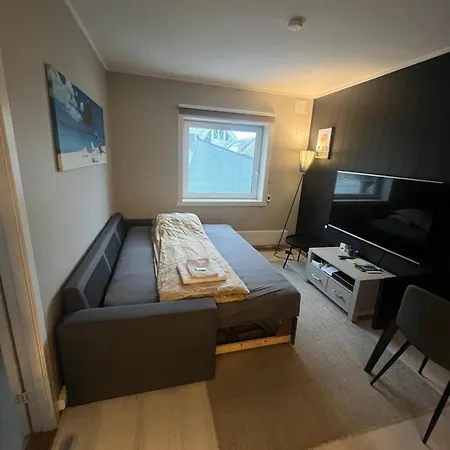 Lägenhet Downtown With Queensize Bed And Parking