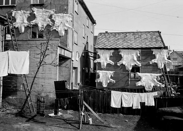 Downtown With Queensize Bed And Parking * Tromsø